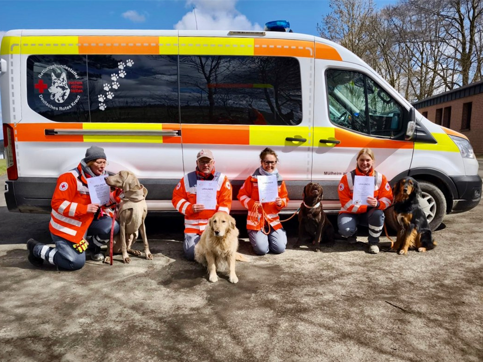 DRK Mülheim Rettungshundestaffel