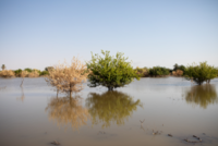 DRK Hilfe Sudan Hochwasser Überschwemmung