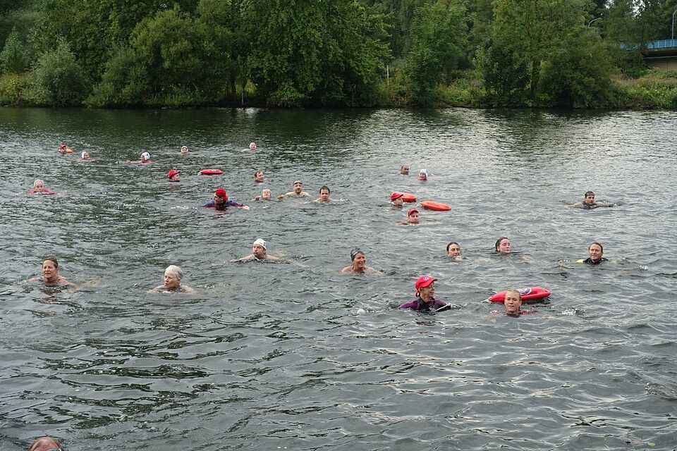 DRK Mülheim Wasserwacht Nachrichten News Ruhrschwimmen 2016