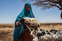 DRK Hilfe Somalia