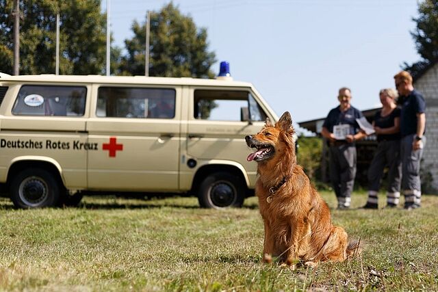 DRK Mülheim Rettungshundestaffel