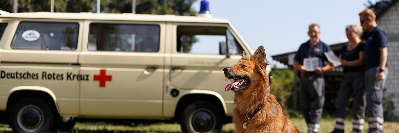 DRK Mülheim Bereitschaft Rettungshunde Einsatz