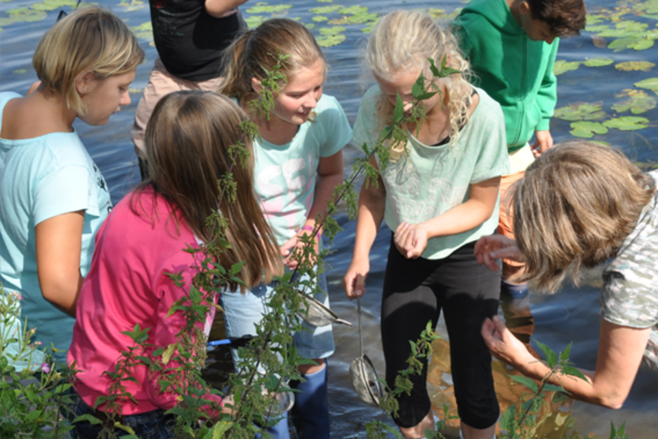 DRK Mülheim Wasserwacht Junior-Retter