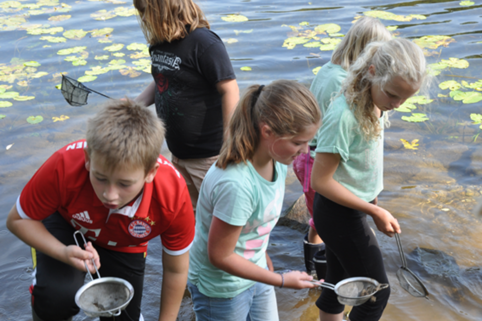 DRK Mülheim Wasserwacht Junior-Retter