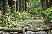 DRK Waldweg