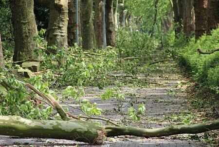 DRK Waldweg