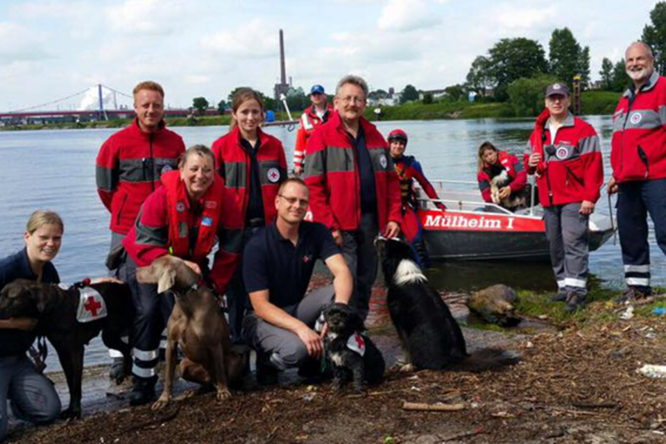DRK Mülheim Wasserwacht Rettungshunde